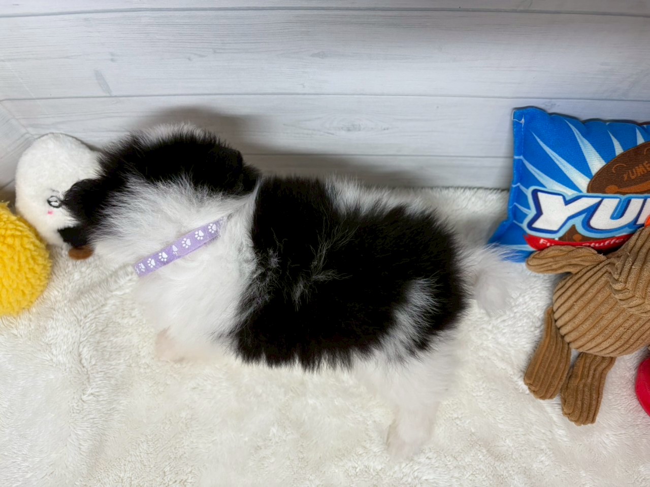 赤ちゃん写真3-3