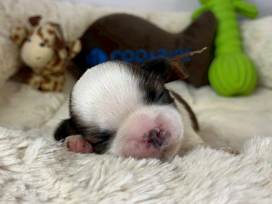 赤ちゃん写真1-1