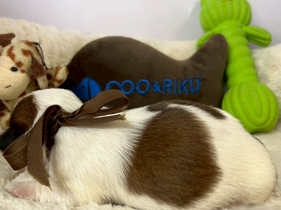 赤ちゃん写真1-2