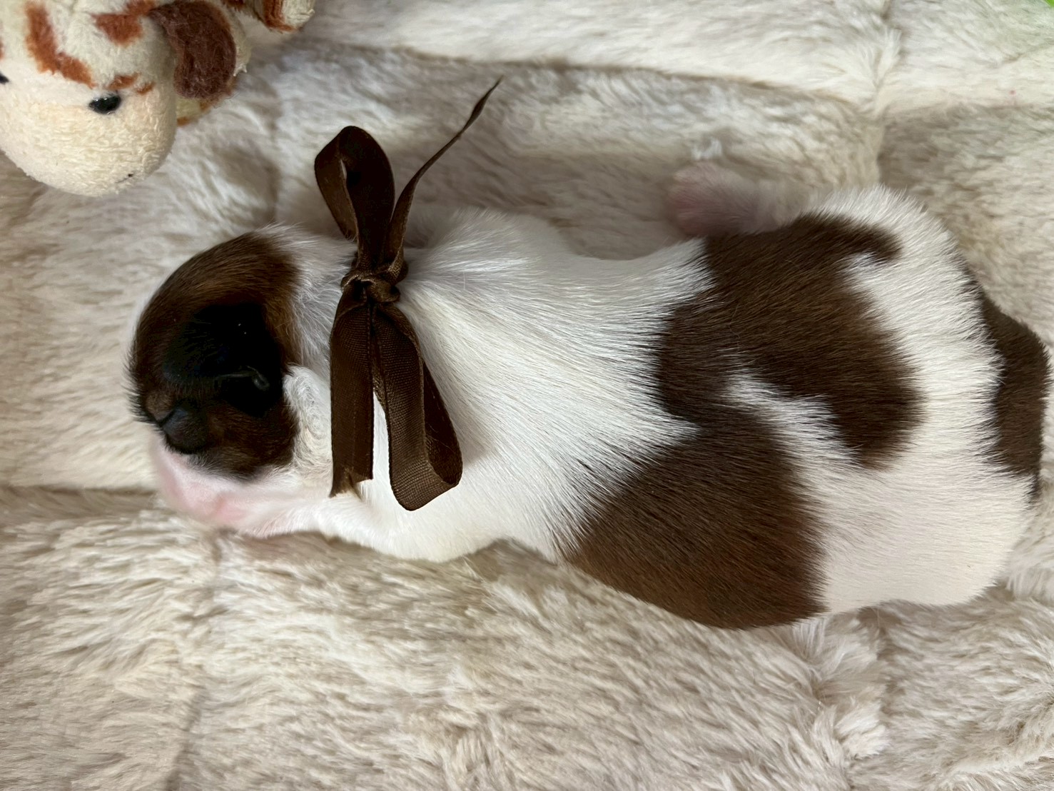 赤ちゃん写真1-3