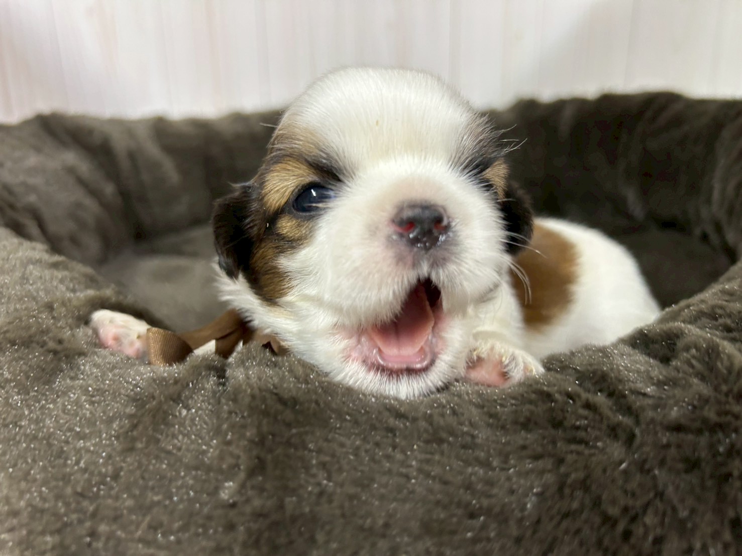 赤ちゃん写真2-1