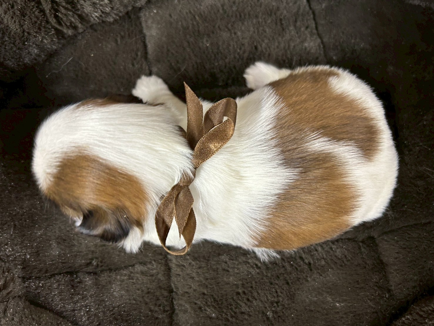 赤ちゃん写真2-3