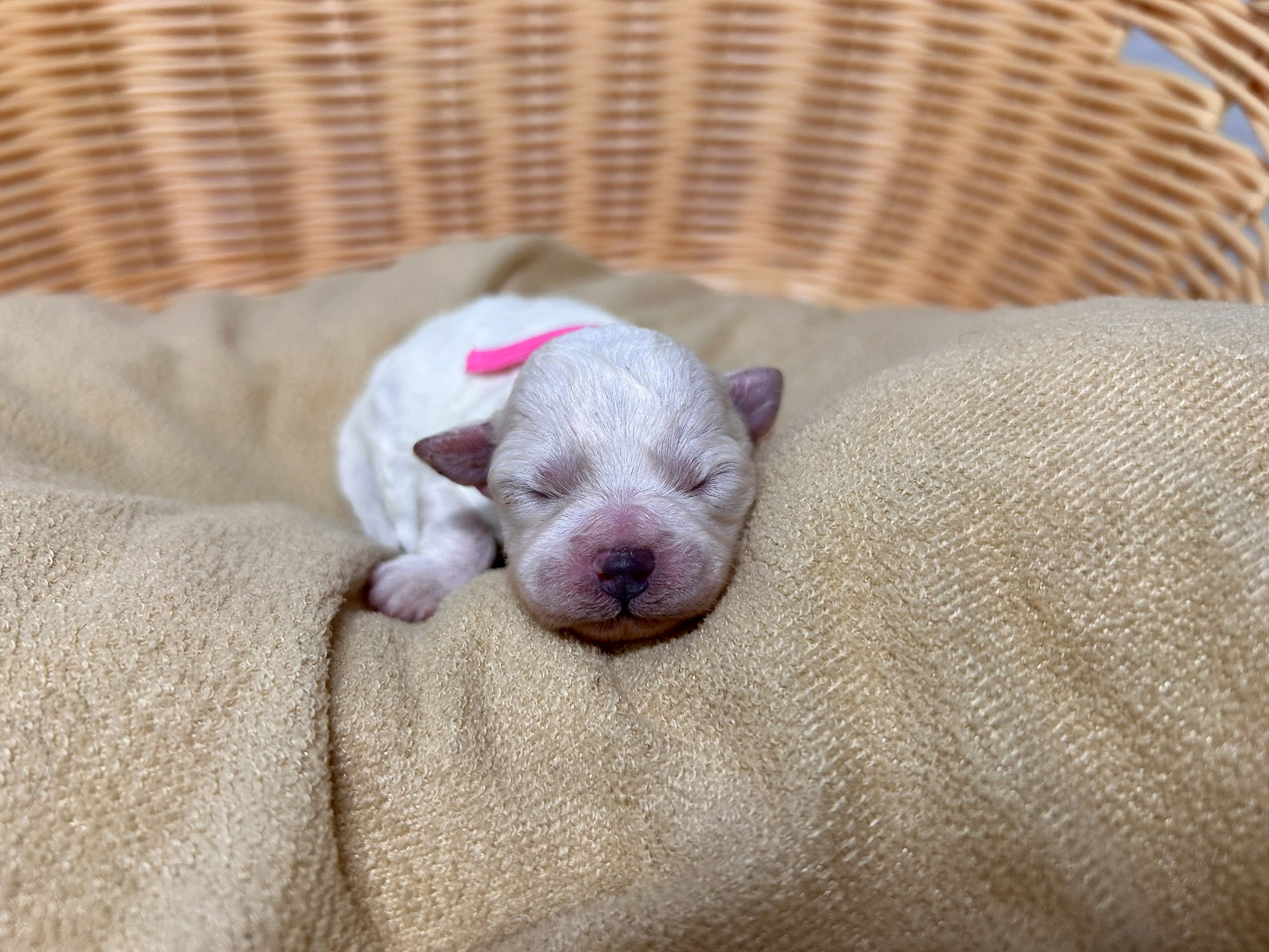 赤ちゃん写真1-1