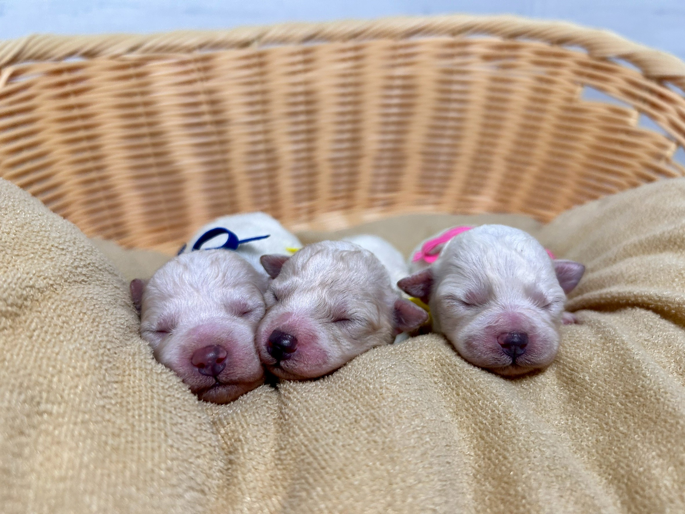 赤ちゃん写真1-3