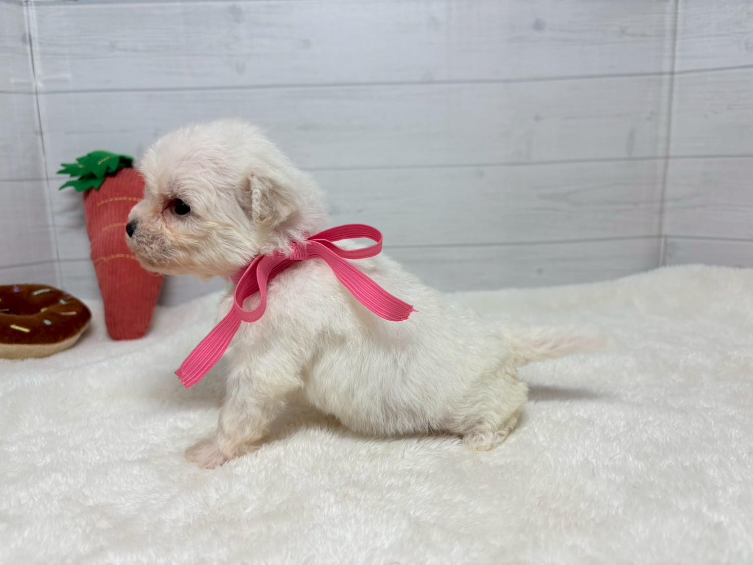 赤ちゃん写真2-2