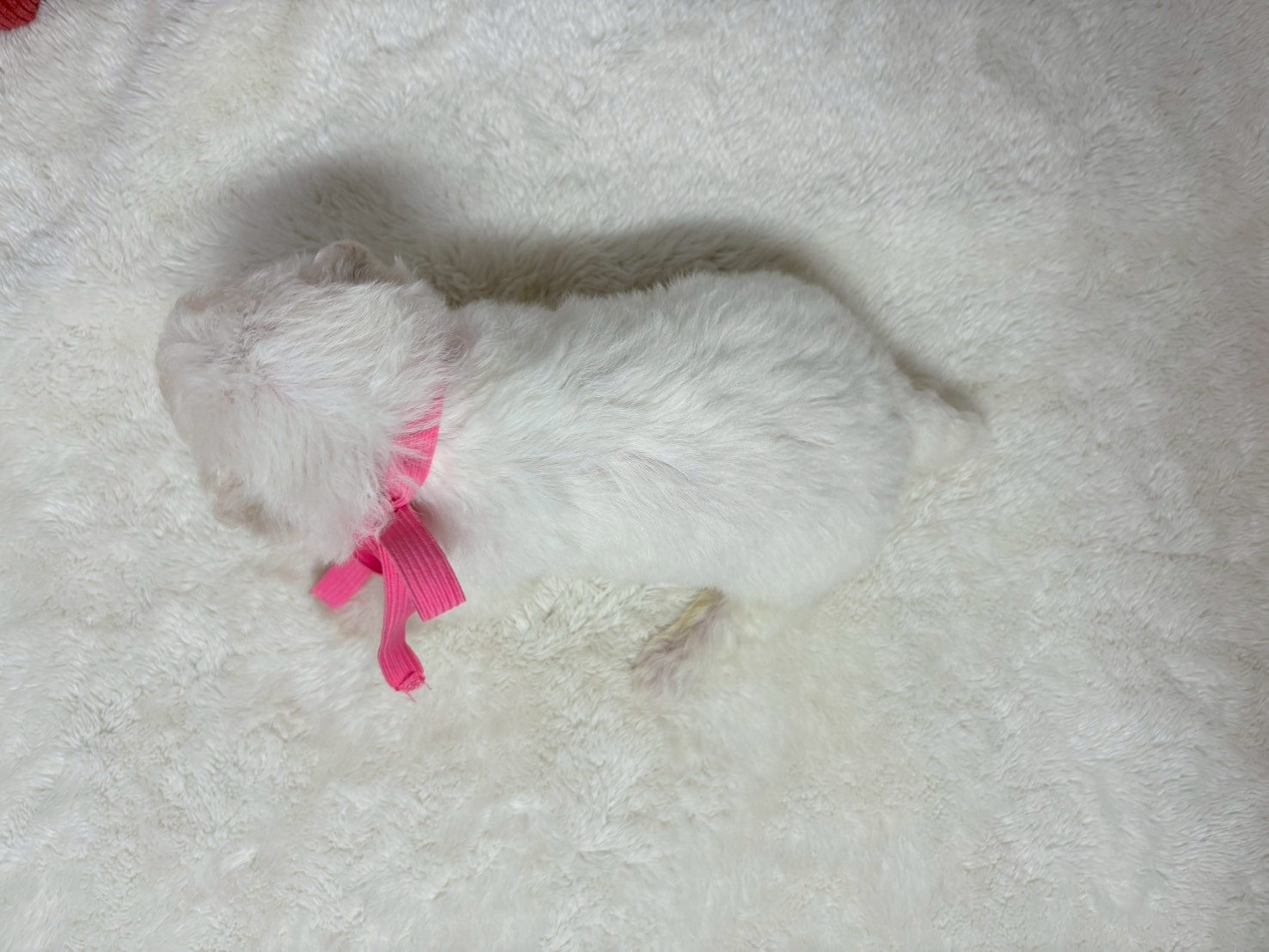 赤ちゃん写真2-3