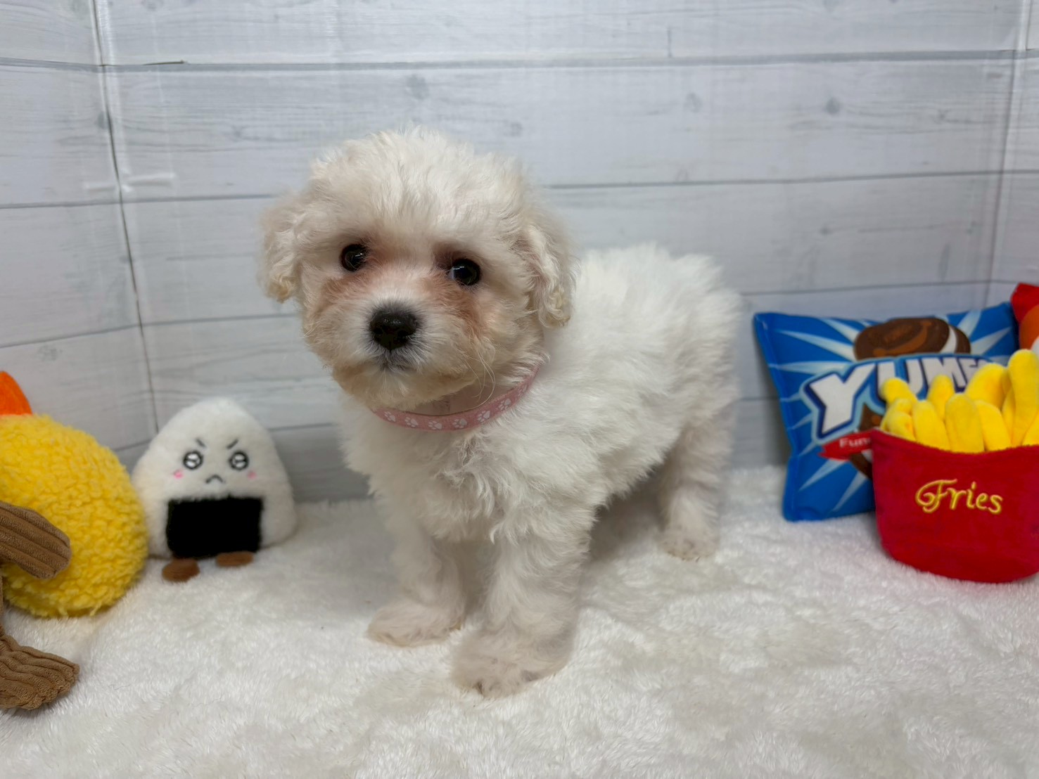 赤ちゃん写真3-1