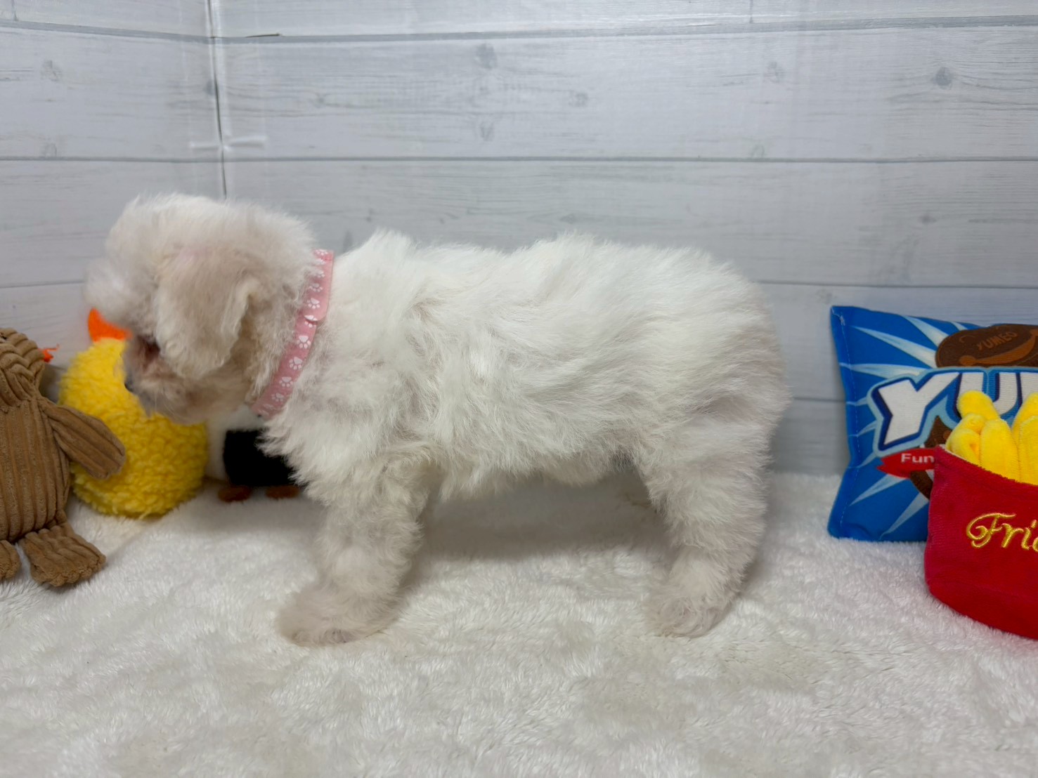 赤ちゃん写真3-2