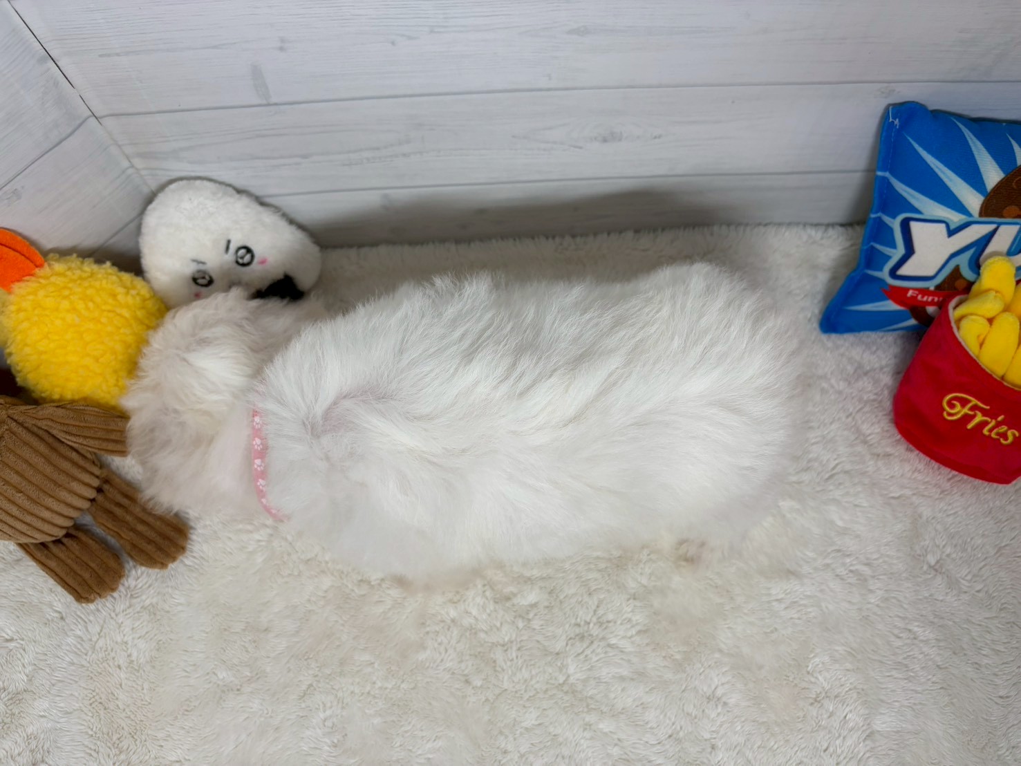 赤ちゃん写真3-3