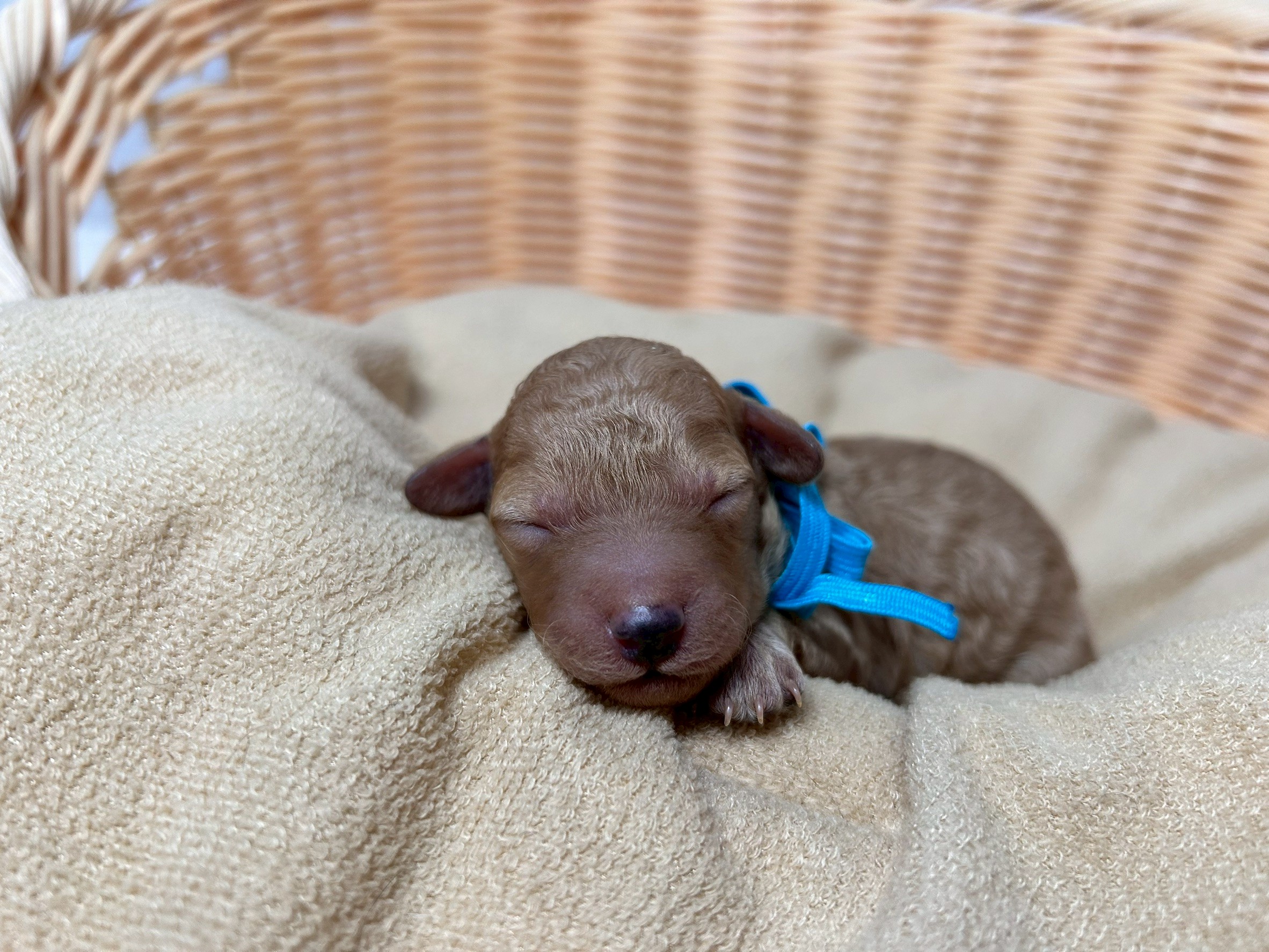 赤ちゃん写真1-1