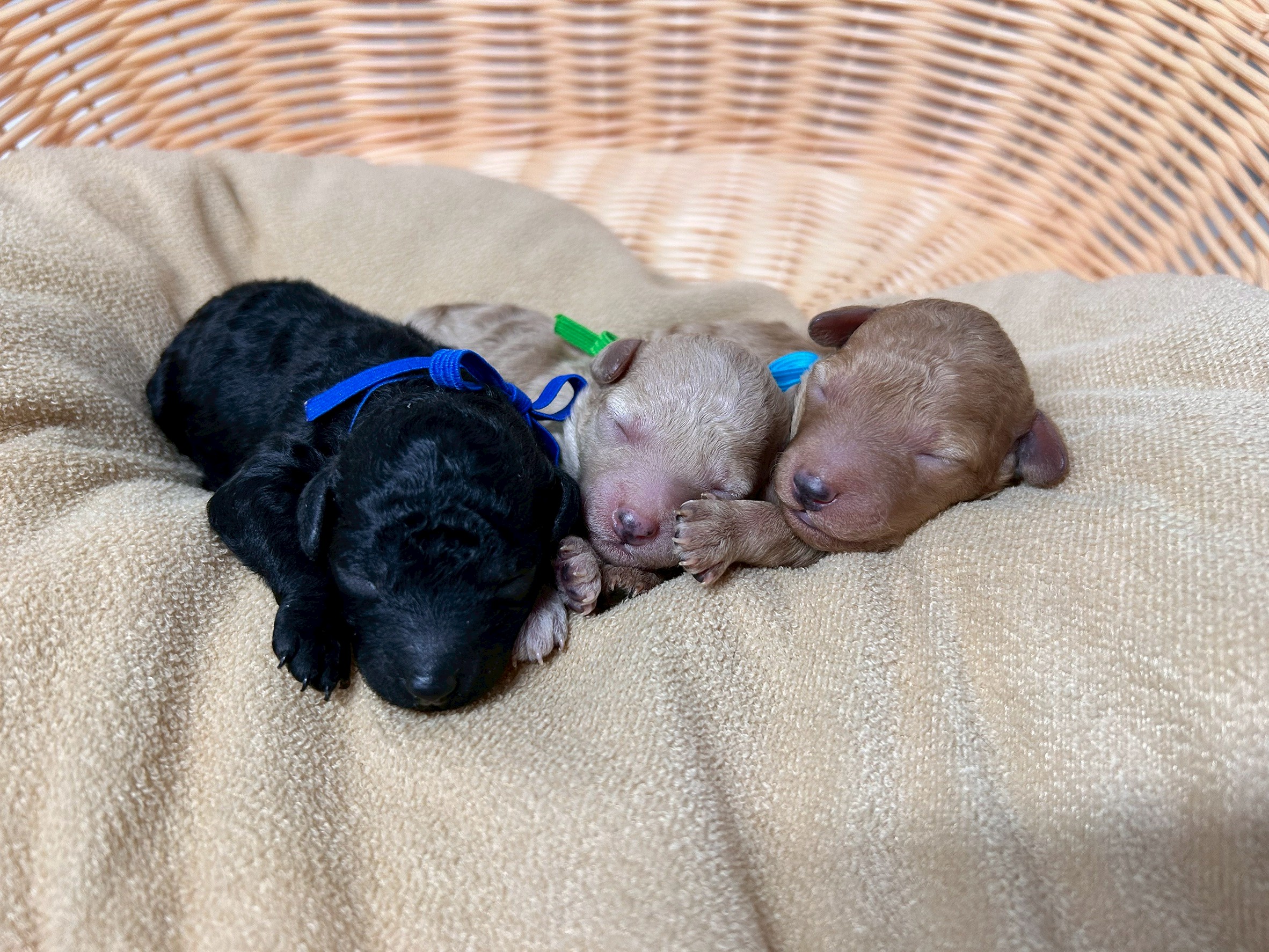 赤ちゃん写真1-3