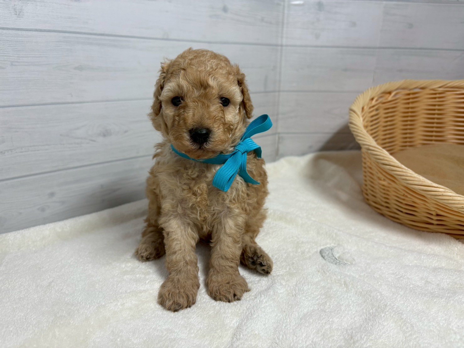 赤ちゃん写真2-1