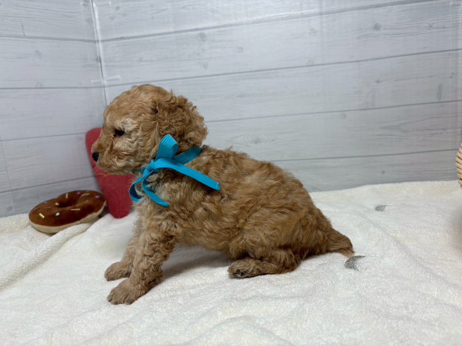 赤ちゃん写真2-2