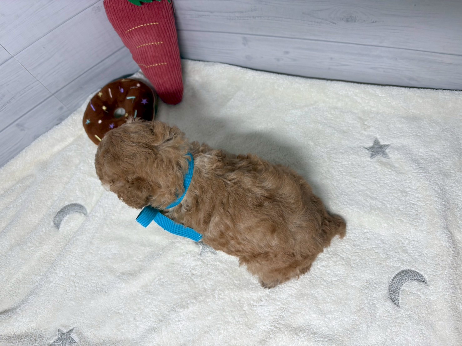 赤ちゃん写真2-3