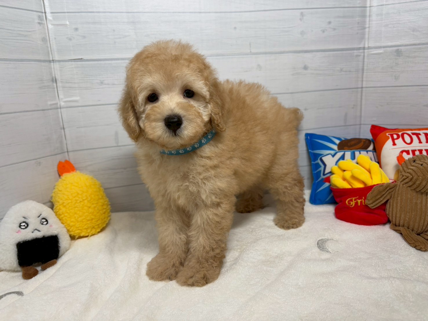 赤ちゃん写真3-1