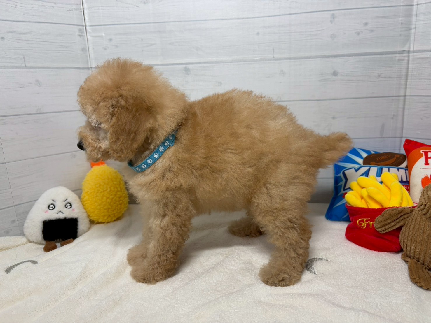 赤ちゃん写真3-2