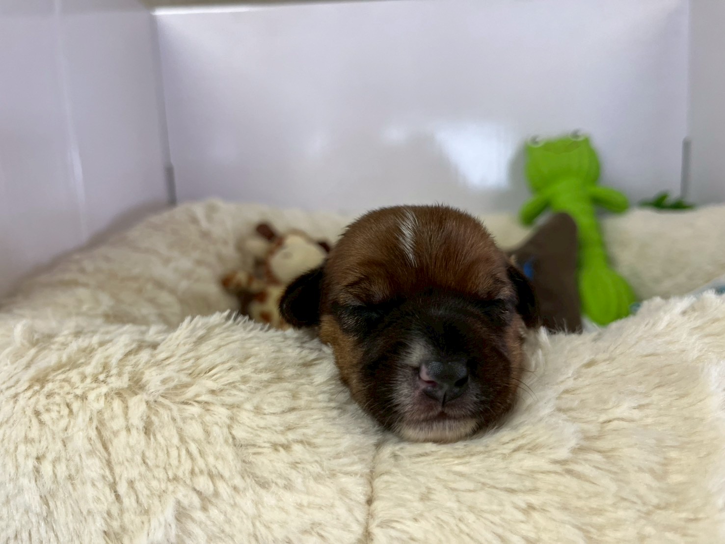 赤ちゃん写真1-1