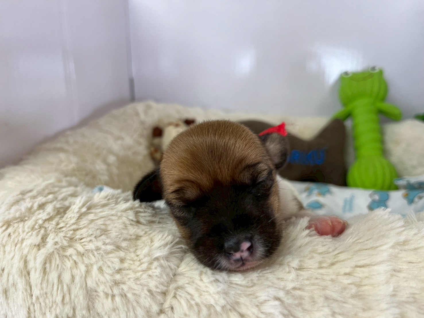 赤ちゃん写真1-1