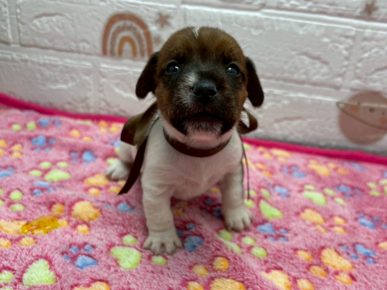 赤ちゃん写真2-1