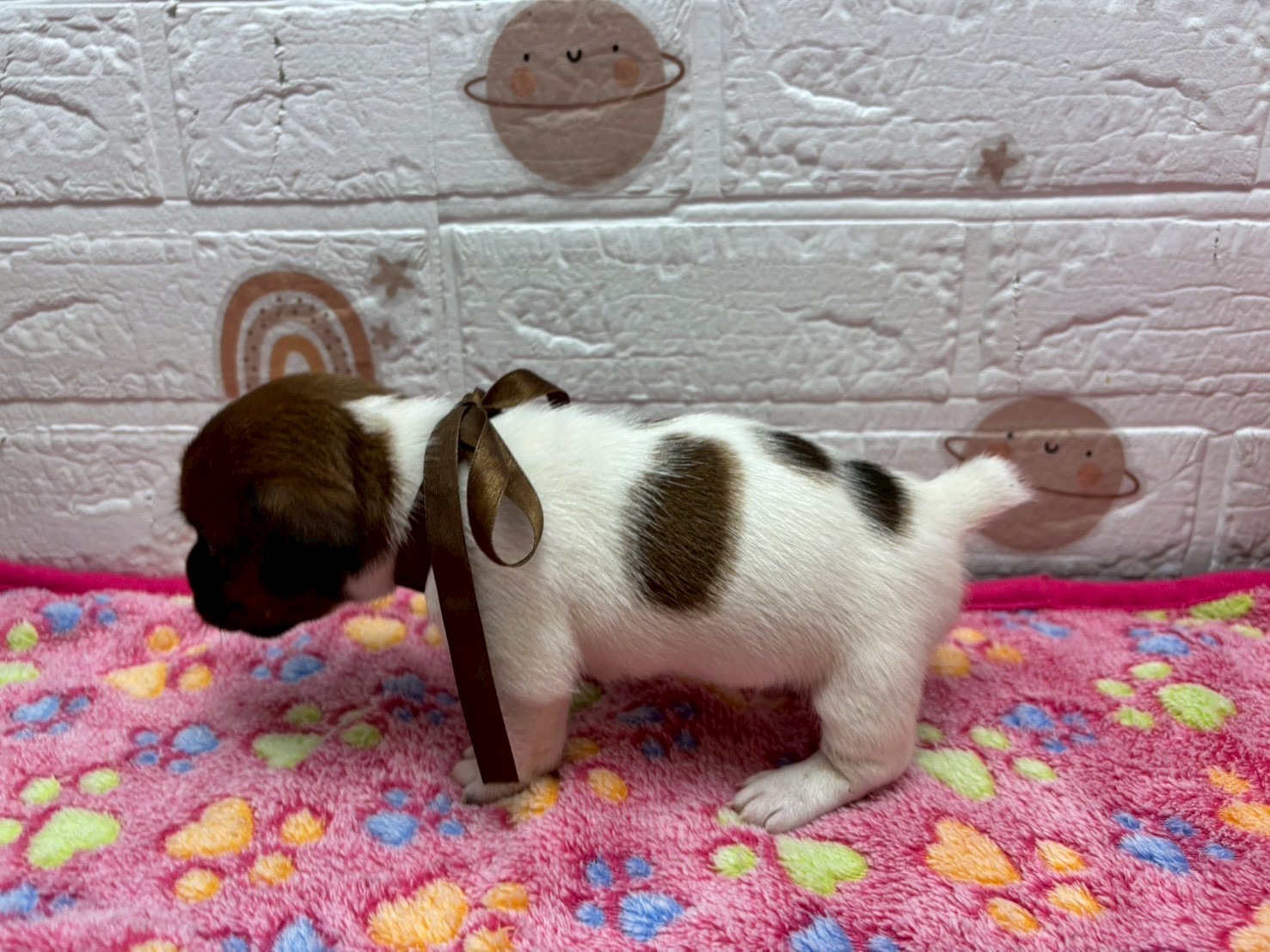 赤ちゃん写真2-2