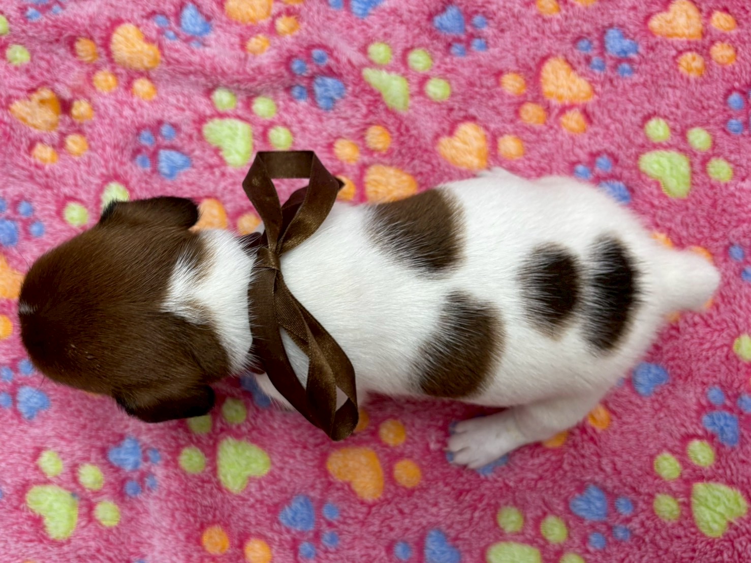 赤ちゃん写真2-3