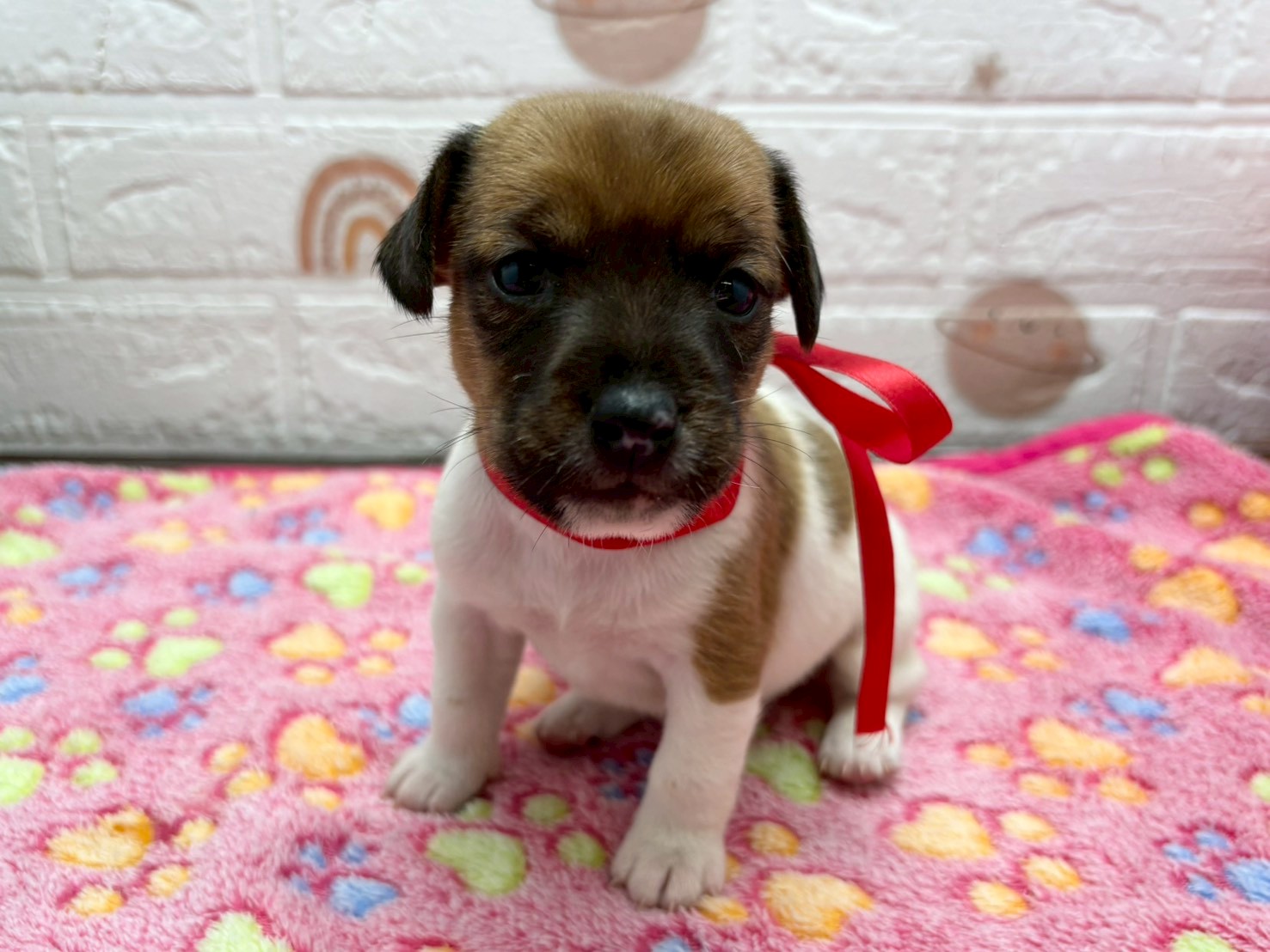 赤ちゃん写真2-1