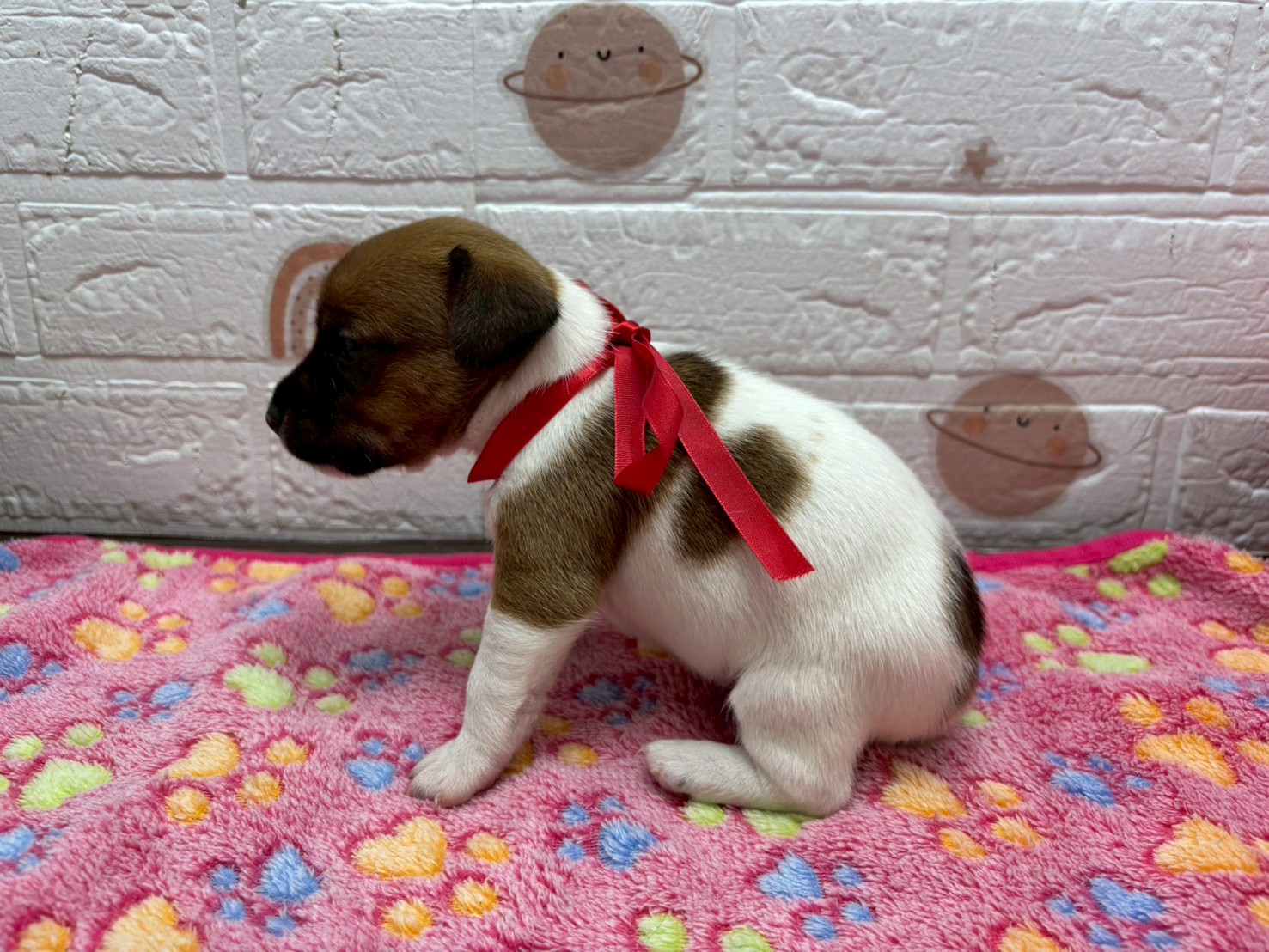 赤ちゃん写真2-2