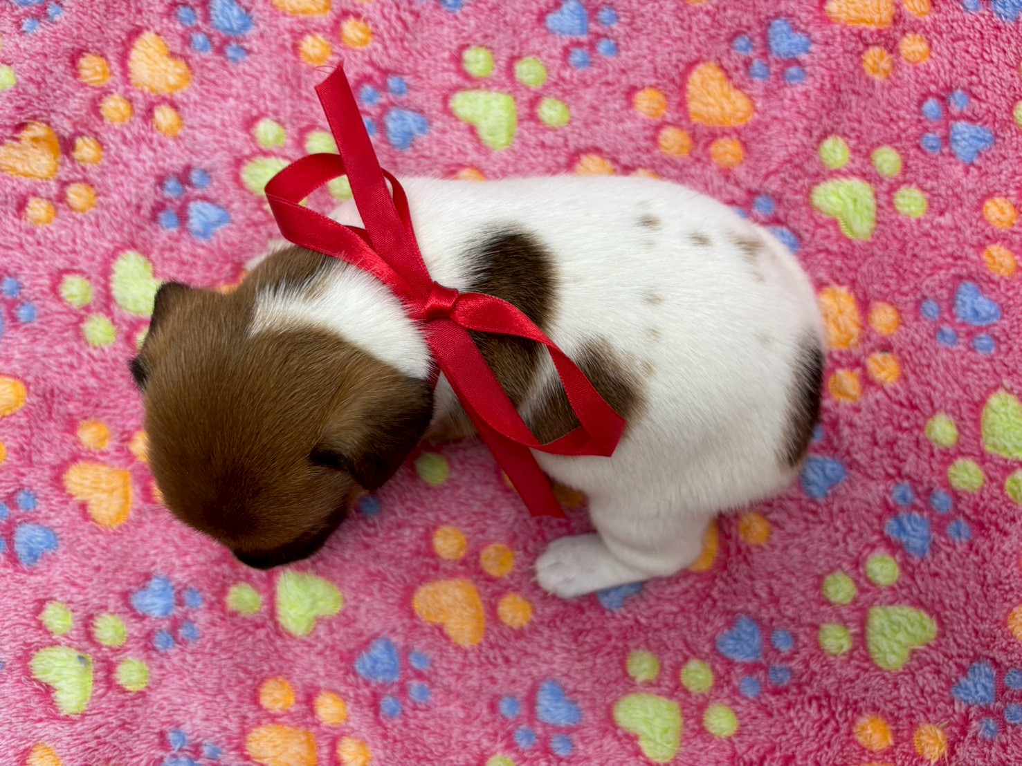 赤ちゃん写真2-3