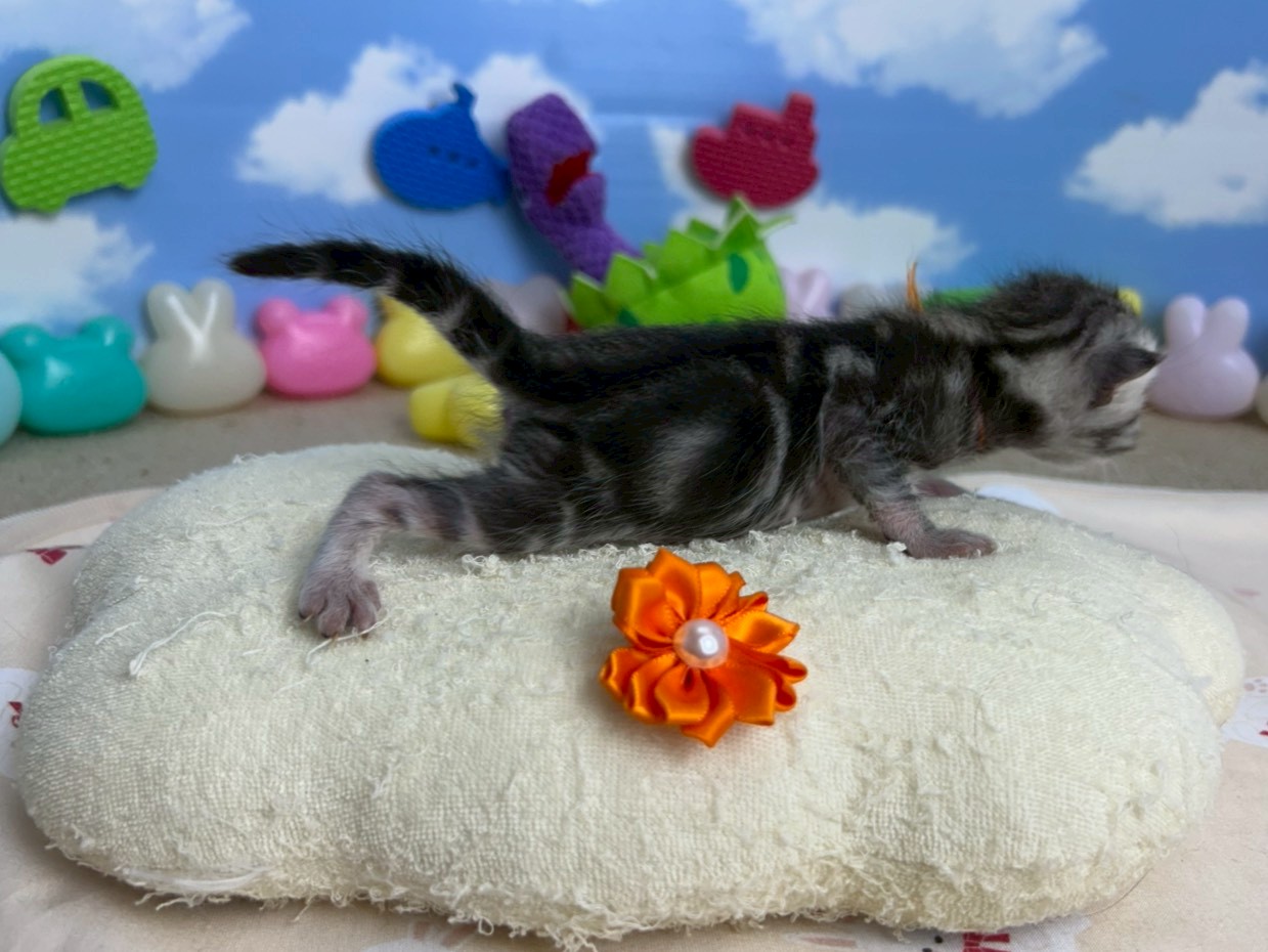 赤ちゃん写真1-2