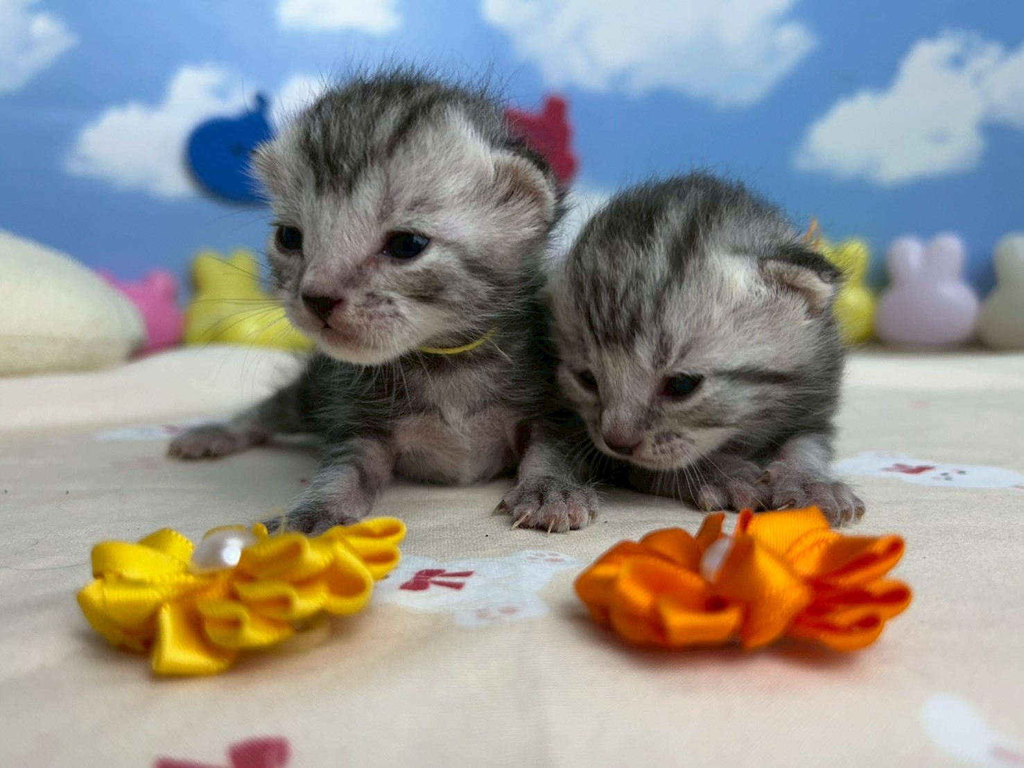 赤ちゃん写真1-3