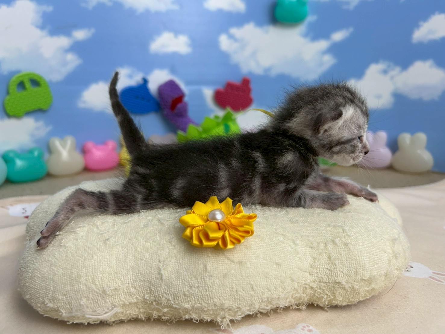 赤ちゃん写真1-2