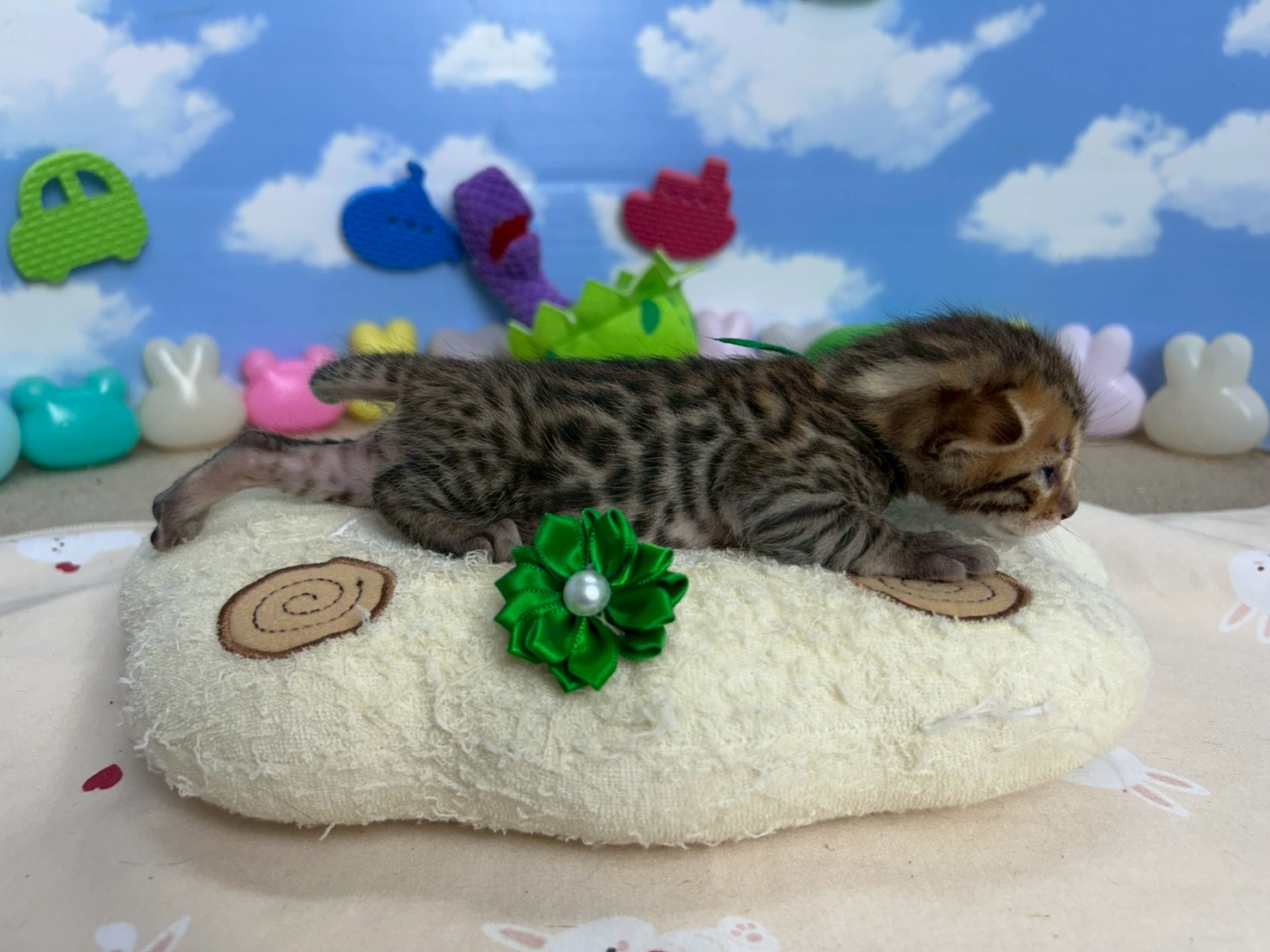 赤ちゃん写真1-2