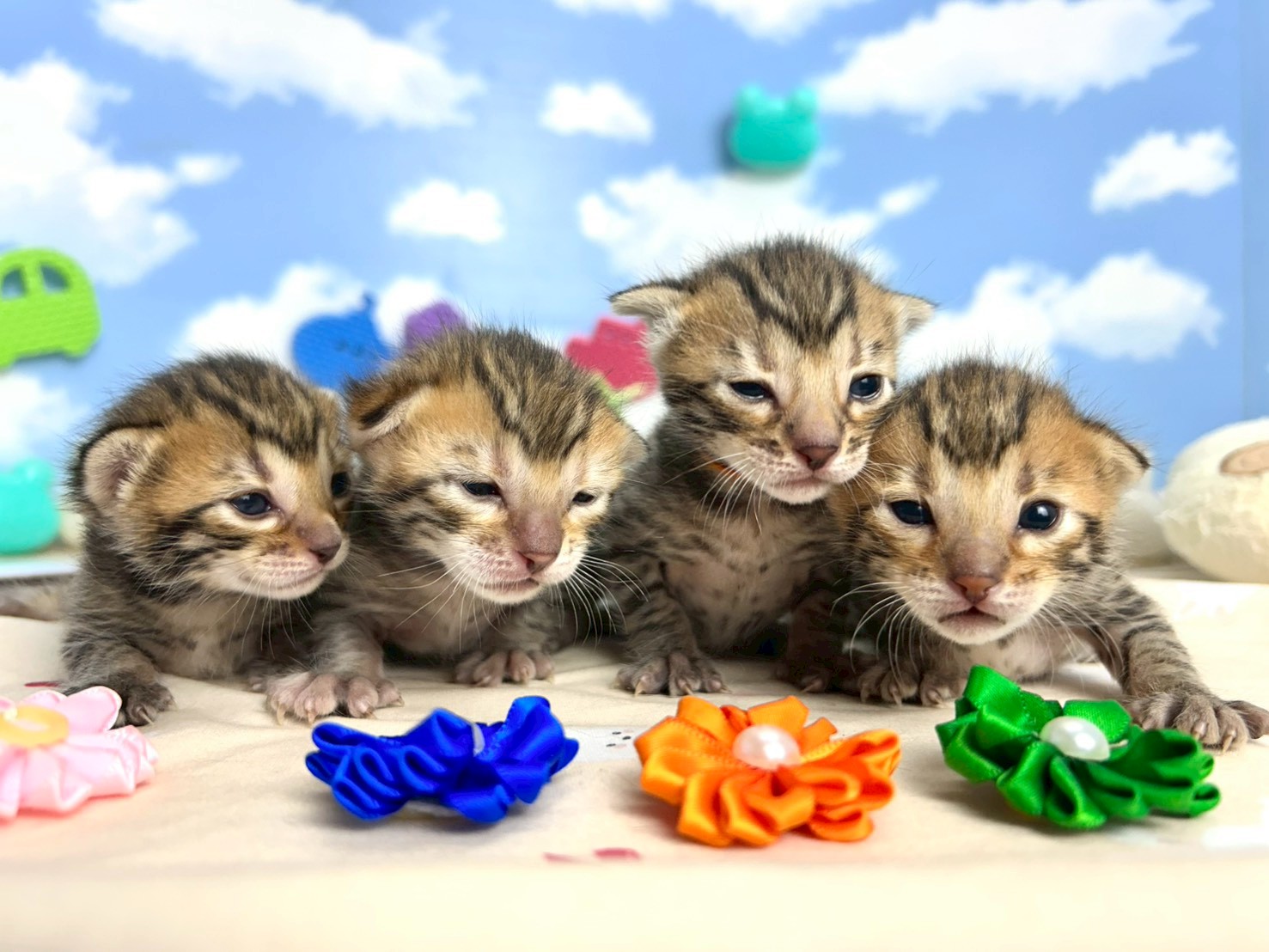 赤ちゃん写真1-3