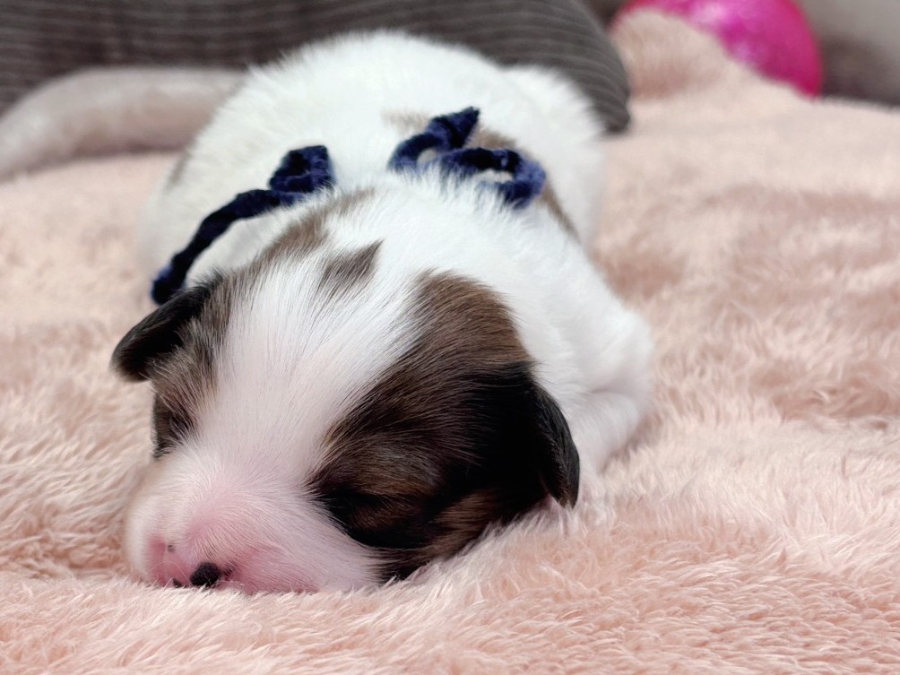 赤ちゃん写真1-1