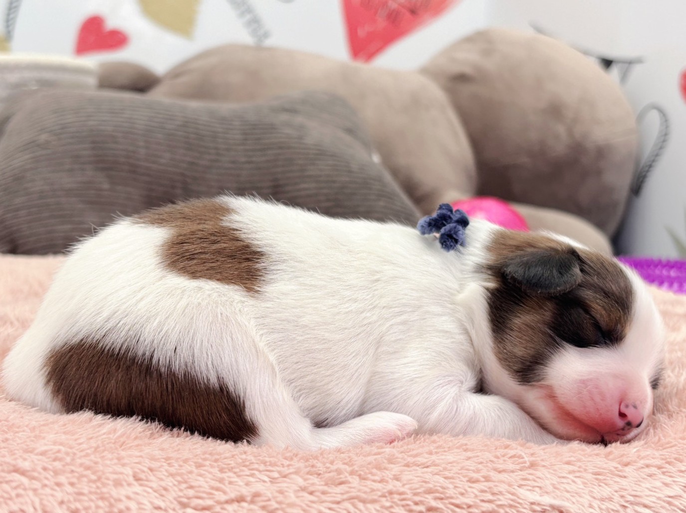 赤ちゃん写真1-2