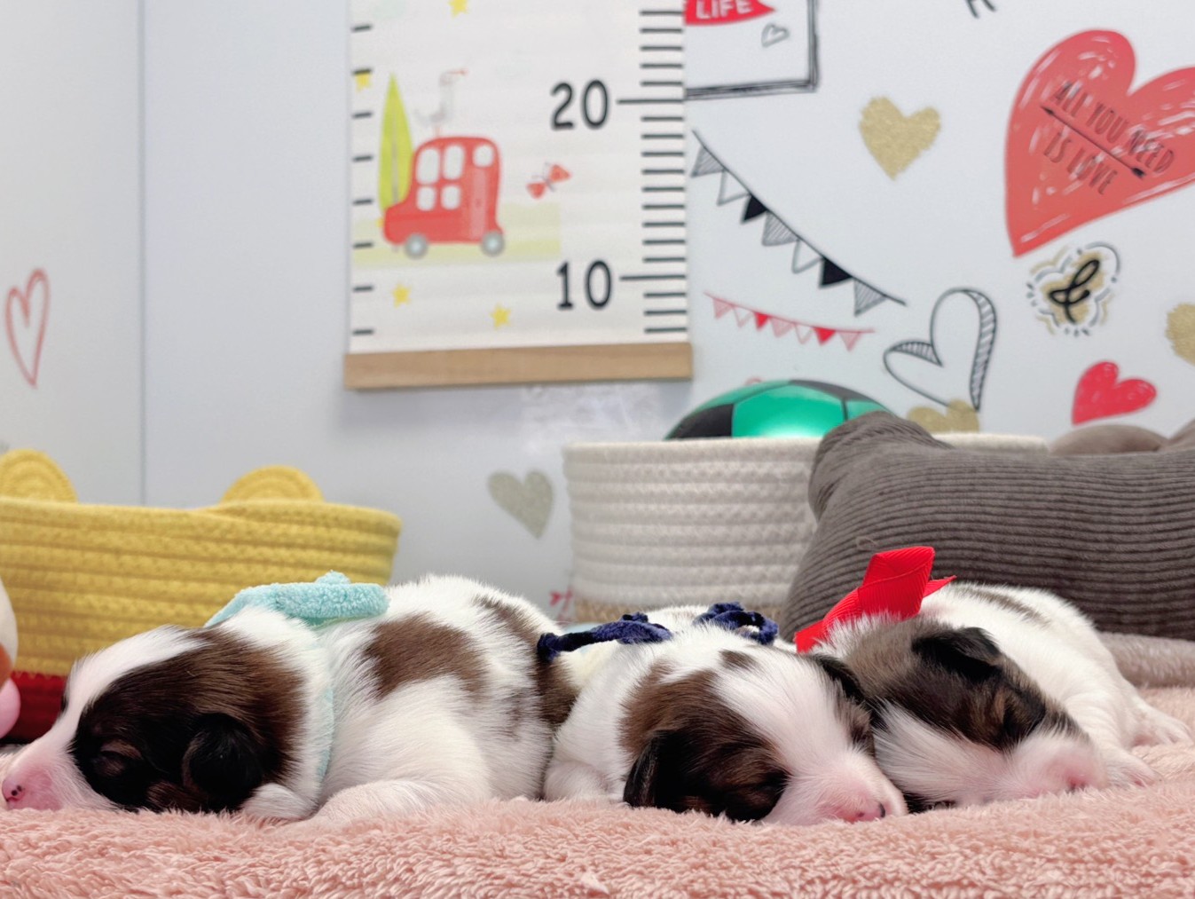 赤ちゃん写真1-3