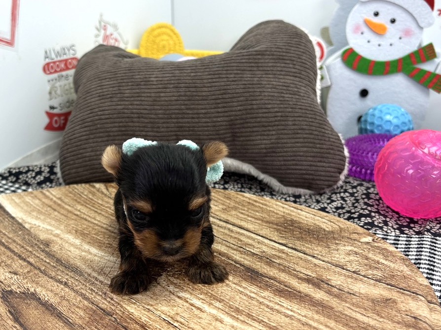 赤ちゃん写真1-1