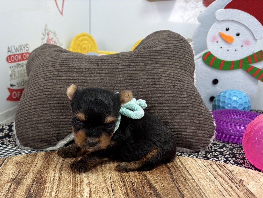 赤ちゃん写真1-2