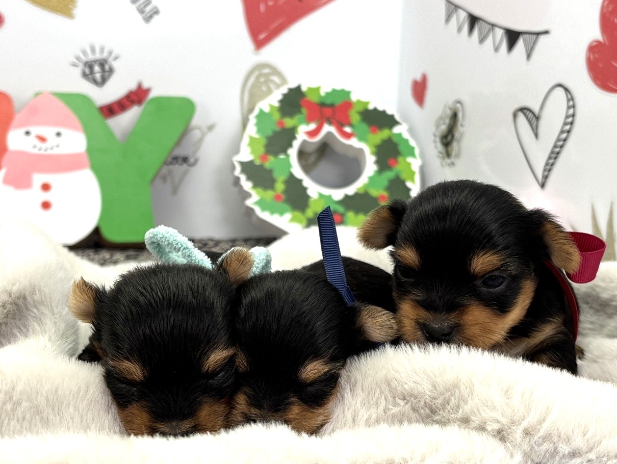 赤ちゃん写真1-3