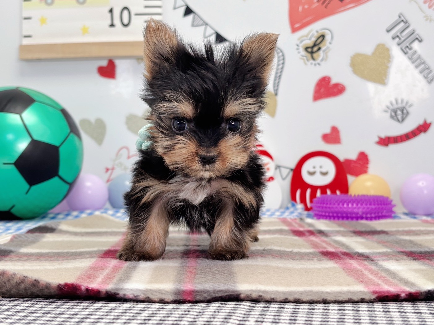 赤ちゃん写真2-1