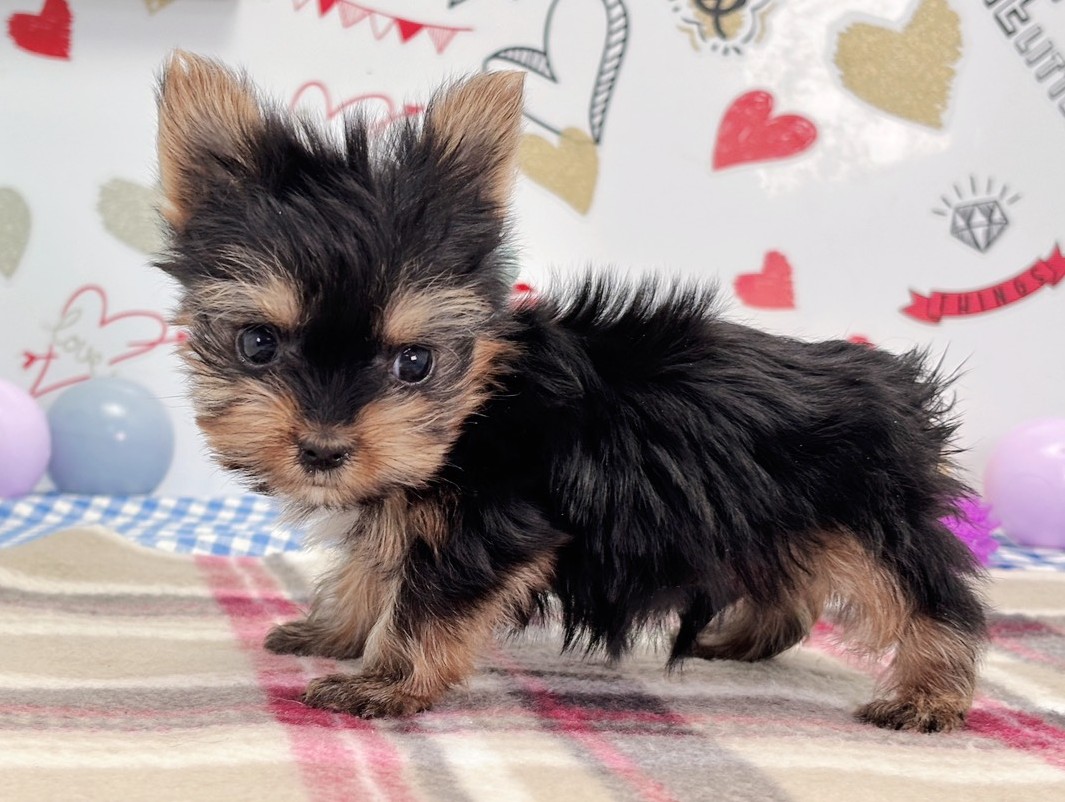 赤ちゃん写真2-2