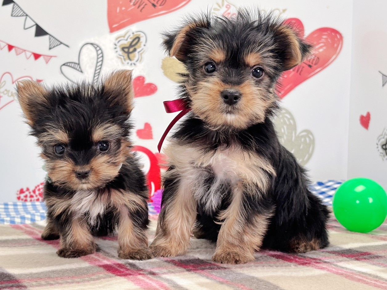 赤ちゃん写真2-3