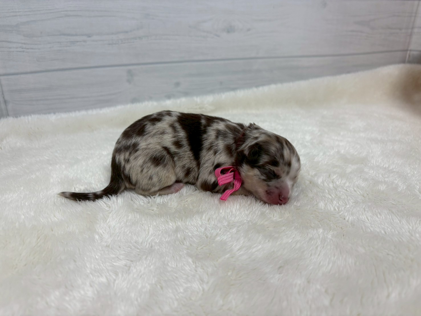 赤ちゃん写真1-2