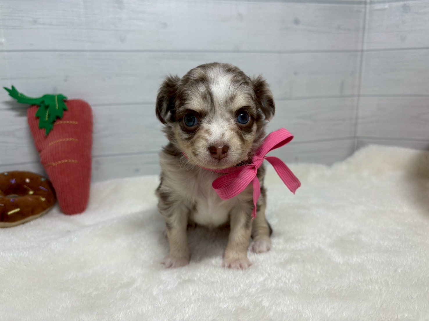 赤ちゃん写真2-1