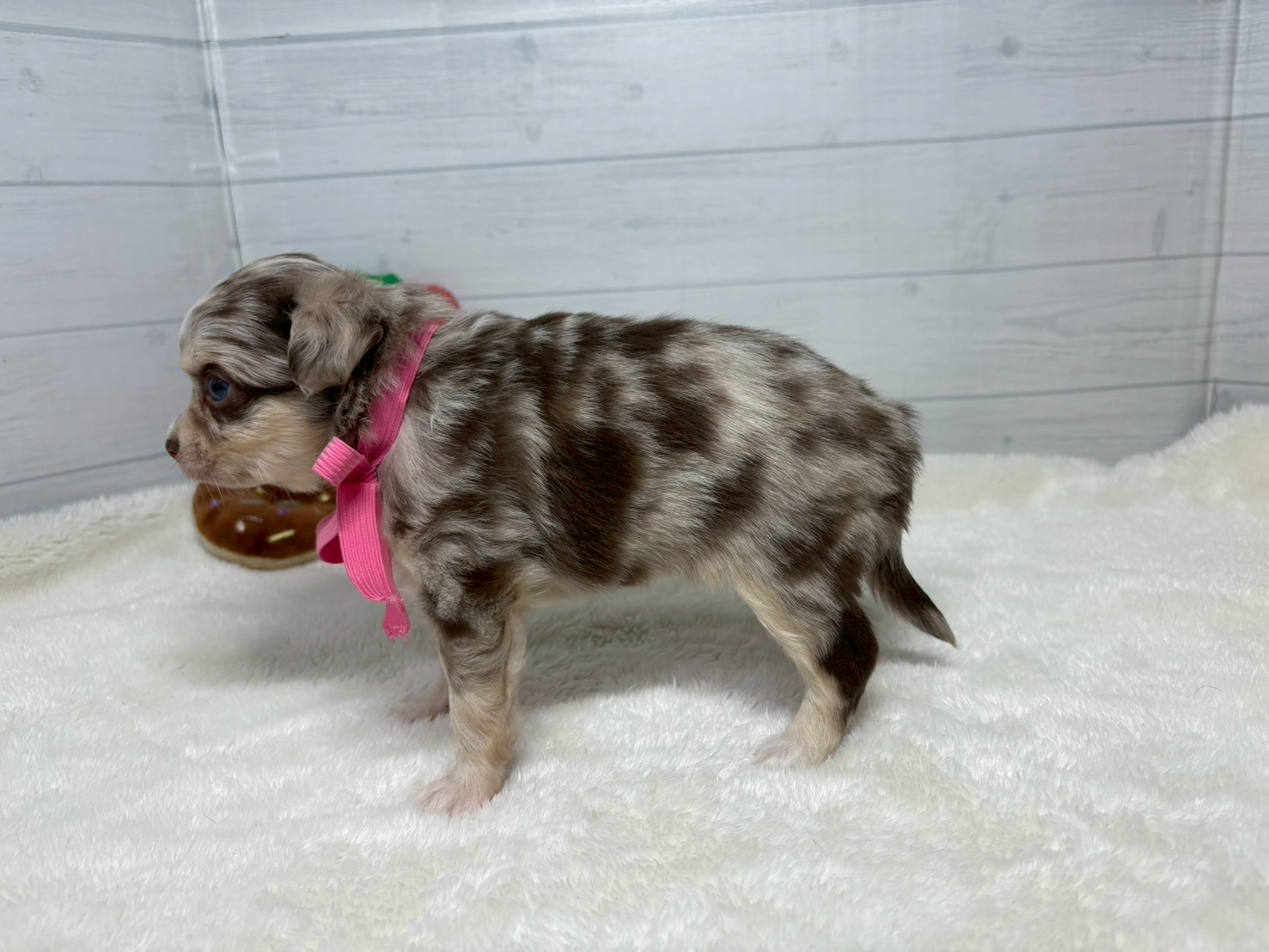 赤ちゃん写真2-2