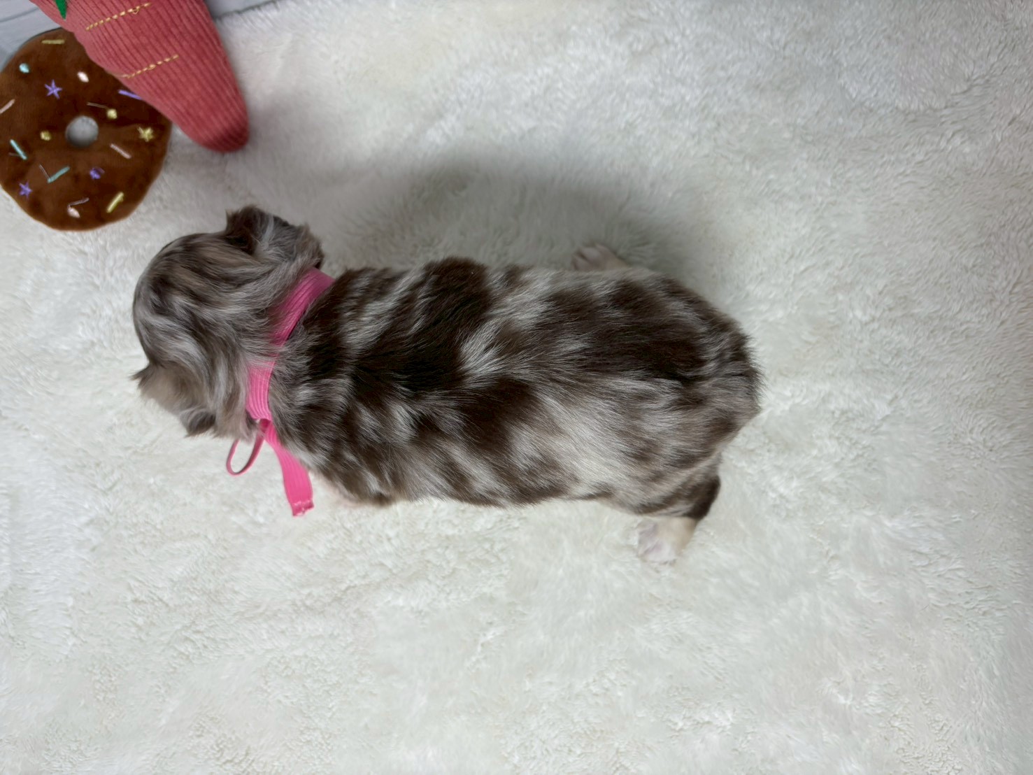 赤ちゃん写真2-3