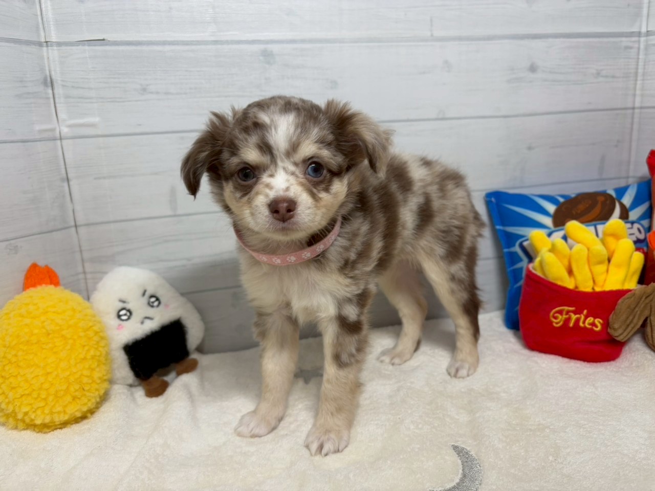 赤ちゃん写真3-1