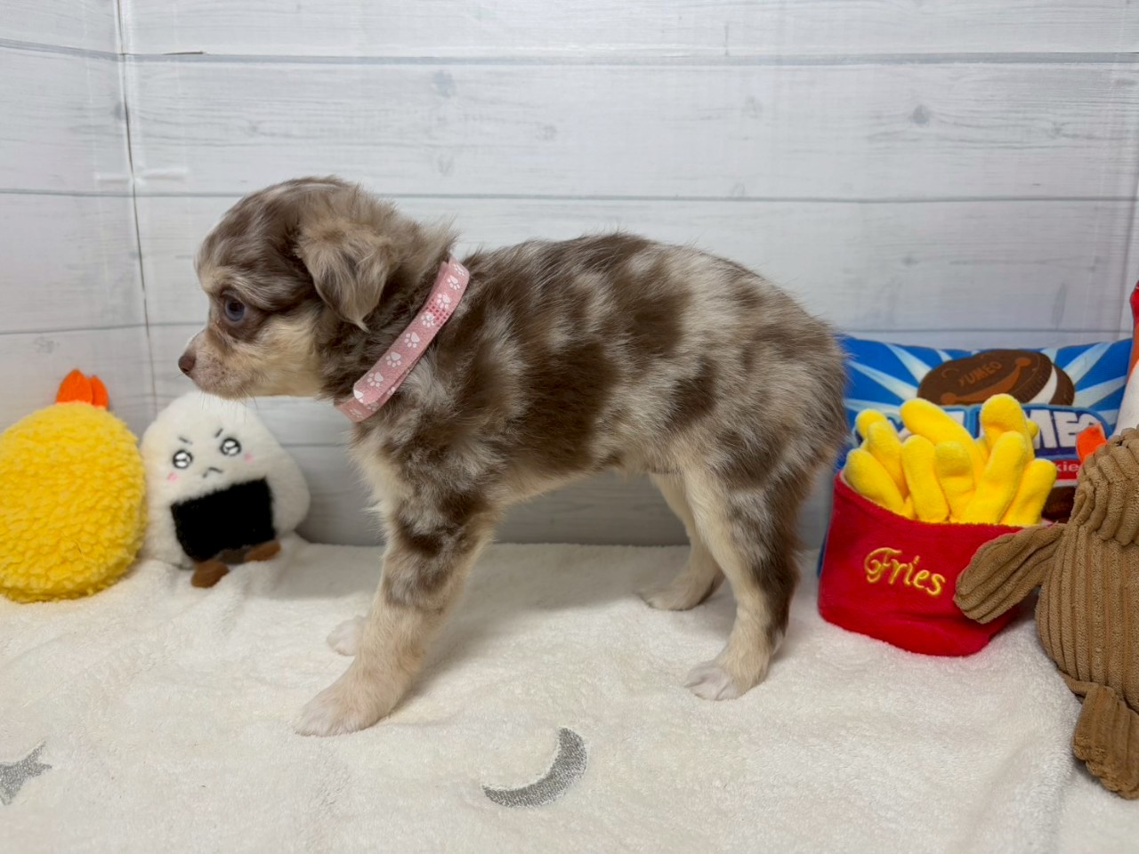 赤ちゃん写真3-2