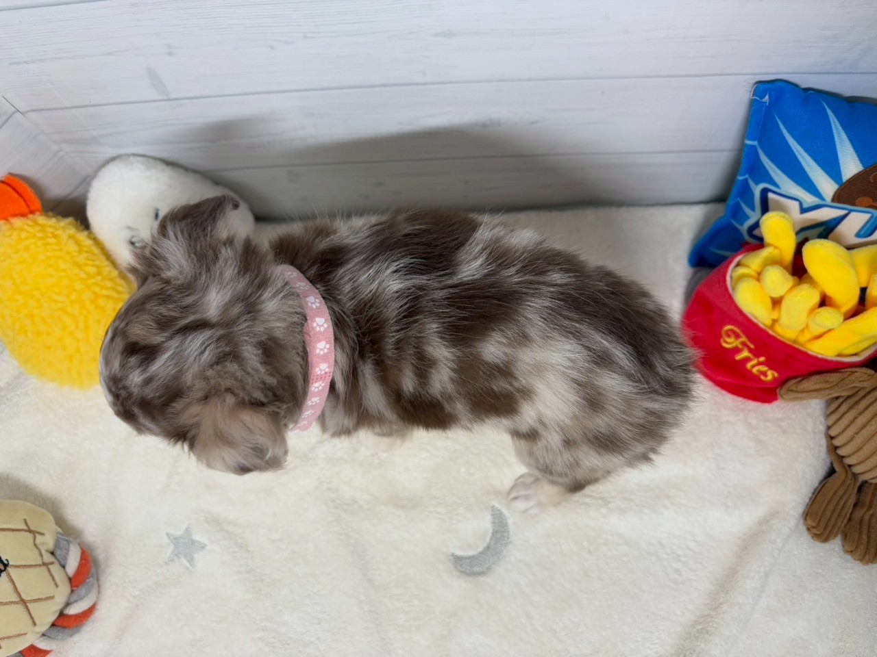 赤ちゃん写真3-3