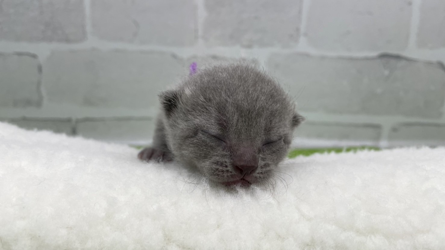 赤ちゃん写真1-1